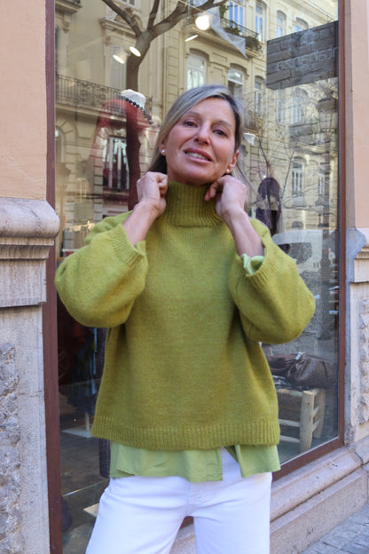 JERSEY BERTA PISTACHO